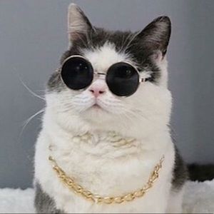 Meet your Posher, Marie